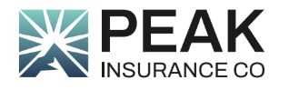 Peak Insurance CO